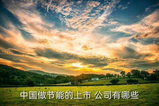 中國(guó)做節(jié)能的上市 公司有哪些