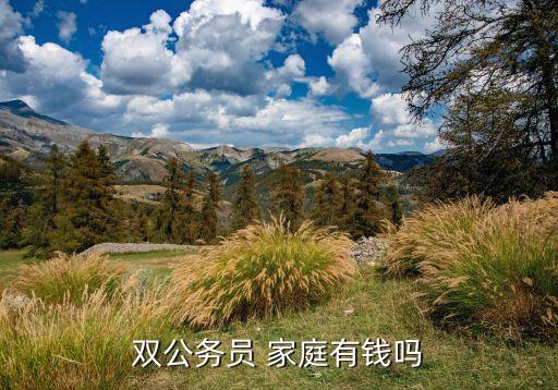 雙公務員 家庭有錢嗎