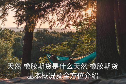 中國橡膠關(guān)稅高,進口橡膠關(guān)稅2023