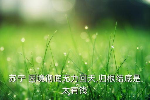 蘇寧 困境徹底無(wú)力回天,歸根結(jié)底是太有錢