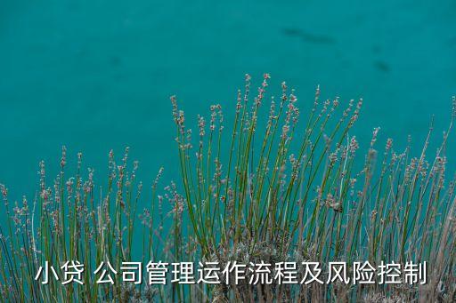  小貸 公司管理運作流程及風(fēng)險控制