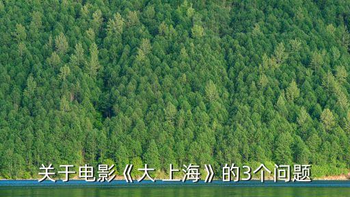 關(guān)于電影《大 上?！返?個問題