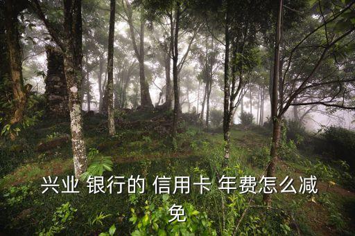  興業(yè) 銀行的 信用卡 年費(fèi)怎么減免