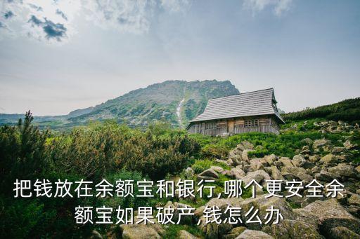 把錢(qián)放在余額寶和銀行,哪個(gè)更安全余額寶如果破產(chǎn),錢(qián)怎么辦