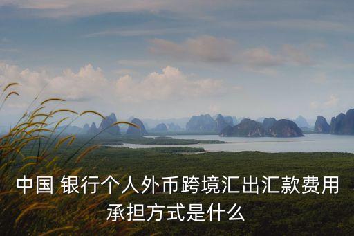 中國 銀行個人外幣跨境匯出匯款費(fèi)用承擔(dān)方式是什么