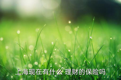 上海現(xiàn)在有什么 理財?shù)谋ｋU嗎
