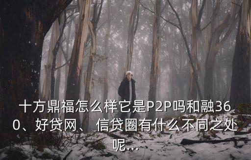 信貸圈注冊公司認(rèn)證不通過