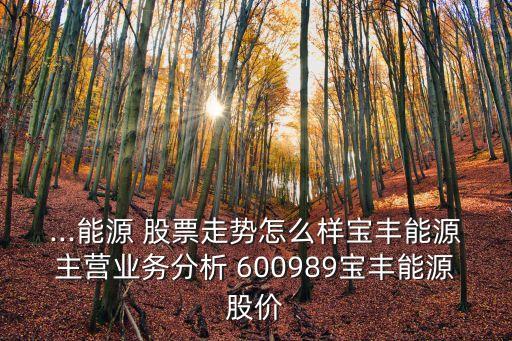 ...能源 股票走勢怎么樣寶豐能源主營業(yè)務(wù)分析 600989寶豐能源股價(jià)