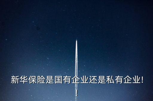新華資產(chǎn)投資管理有限公司,臨潭縣盛潭資產(chǎn)投資管理集團(tuán)有限公司