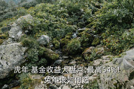 虎年 基金收益大盤(pán)點(diǎn):最高54%!兔年該如何選
