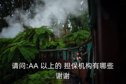 請問:AA 以上的 擔保機構(gòu)有哪些謝謝