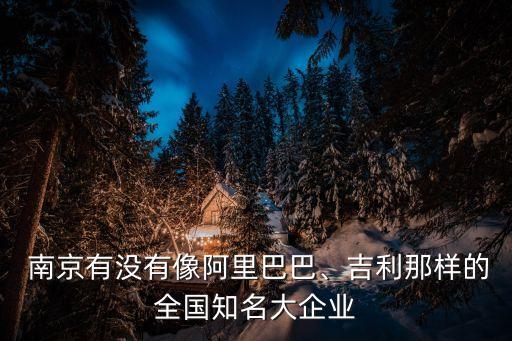  南京有沒(méi)有像阿里巴巴、吉利那樣的全國(guó)知名大企業(yè)