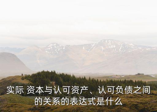 實(shí)際 資本與認(rèn)可資產(chǎn)、認(rèn)可負(fù)債之間的關(guān)系的表達(dá)式是什么