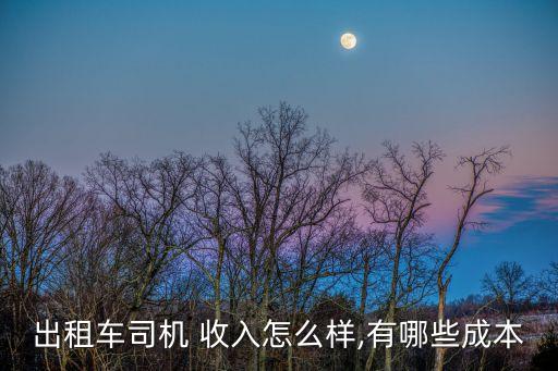出租車(chē)司機(jī) 收入怎么樣,有哪些成本