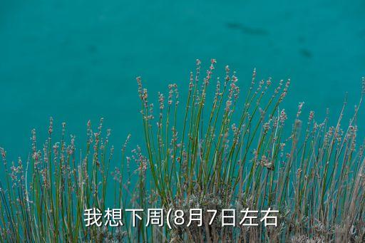 我想下周(8月7日左右