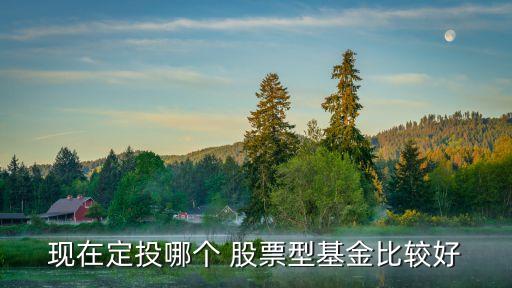 現在定投哪個 股票型基金比較好