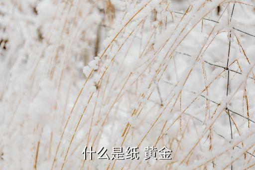 中國(guó)的銀行賣(mài)了多少紙黃金,銀行的紙黃金今天多少