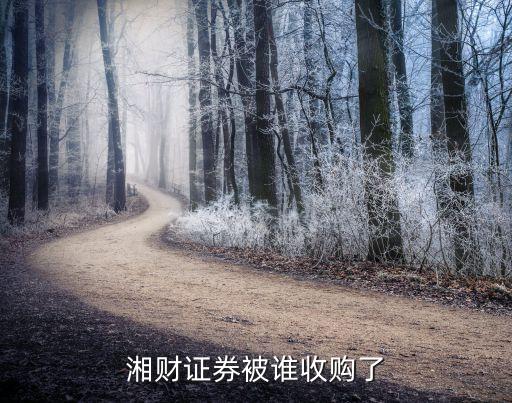 湘財(cái)證券被誰收購(gòu)了