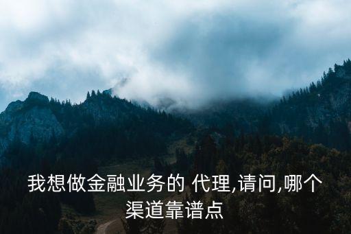 我想做金融業(yè)務(wù)的 代理,請(qǐng)問(wèn),哪個(gè)渠道靠譜點(diǎn)