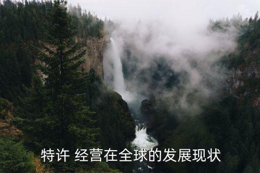 中國(guó)特許經(jīng)營(yíng)體系,什么的特許經(jīng)營(yíng)體系數(shù)量是世界第一
