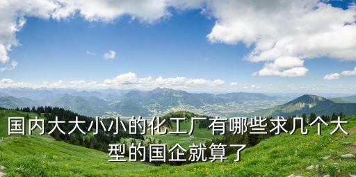 國(guó)內(nèi)大大小小的化工廠有哪些求幾個(gè)大型的國(guó)企就算了