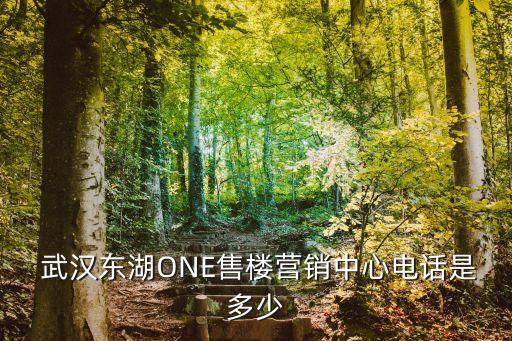  武漢東湖ONE售樓營(yíng)銷中心電話是多少