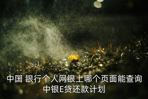 中國(guó) 銀行個(gè)人網(wǎng)銀上哪個(gè)頁(yè)面能查詢(xún)中銀E貸還款計(jì)劃