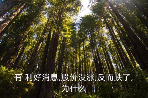 有 利好消息,股價(jià)沒漲,反而跌了,為什么