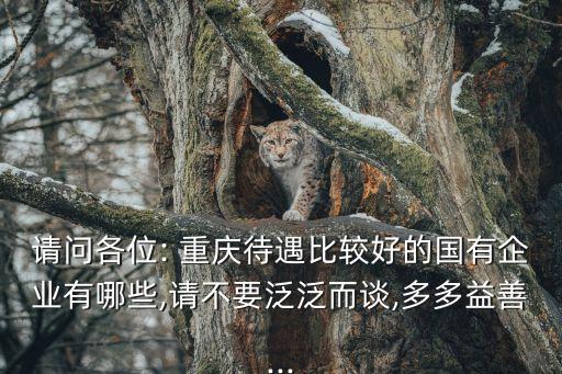 請(qǐng)問各位: 重慶待遇比較好的國(guó)有企業(yè)有哪些,請(qǐng)不要泛泛而談,多多益善...