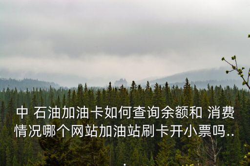 2013中國石油消費(fèi),中國 石油 消費(fèi)