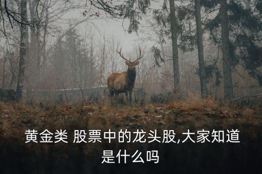  黃金類(lèi) 股票中的龍頭股,大家知道是什么嗎