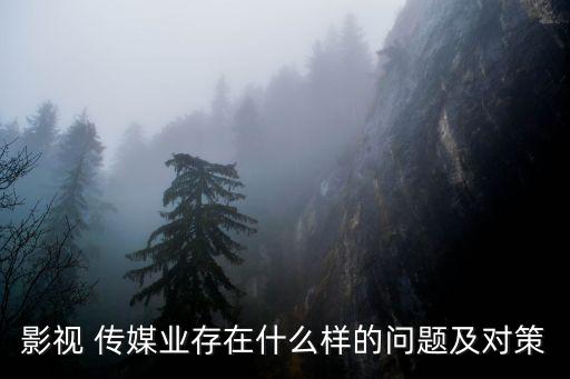 影視 傳媒業(yè)存在什么樣的問題及對策