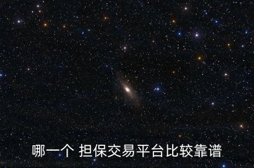 哪一個 擔(dān)保交易平臺比較靠譜