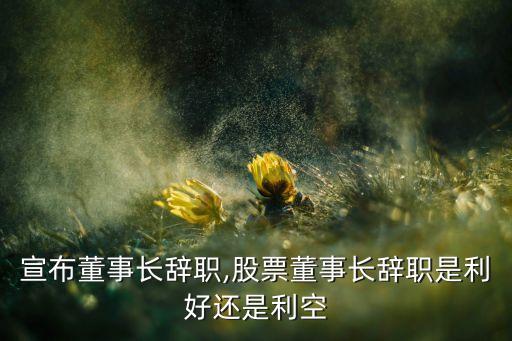股票宣布董事長(zhǎng)辭職,股票董事長(zhǎng)辭職是利好還是利空