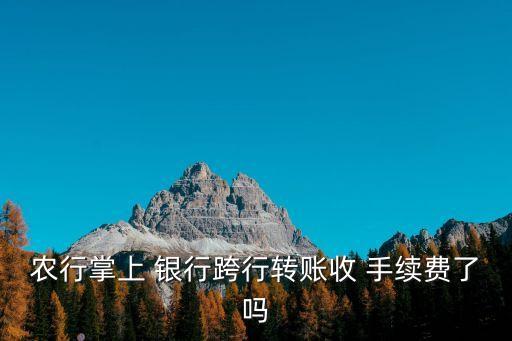 農(nóng)行掌上 銀行跨行轉(zhuǎn)賬收 手續(xù)費了嗎