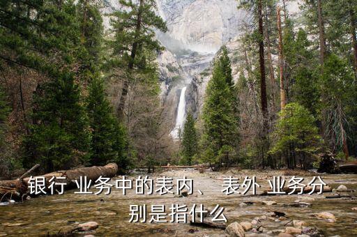 銀行 業(yè)務(wù)中的表內(nèi)、 表外 業(yè)務(wù)分別是指什么
