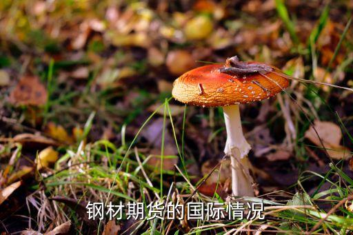鋼材期貨的國(guó)際情況