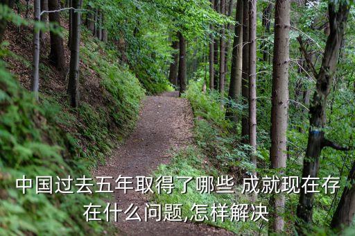中國(guó)社會(huì)第二次轉(zhuǎn)型取得的成就大于問(wèn)題