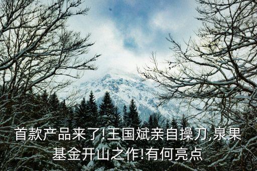 首款產(chǎn)品來了!王國斌親自操刀,泉果基金開山之作!有何亮點