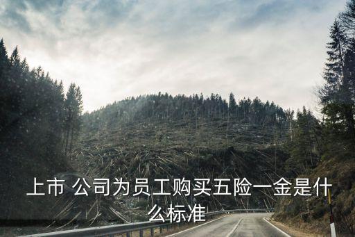  上市 公司為員工購買五險一金是什么標準