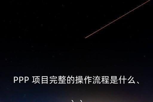 PPP 項目完整的操作流程是什么、、、