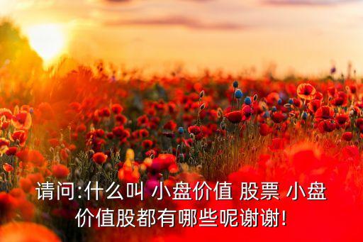 請問:什么叫 小盤價(jià)值 股票 小盤價(jià)值股都有哪些呢謝謝!