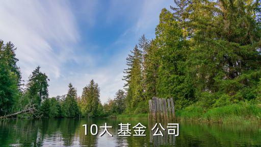 10大 基金 公司