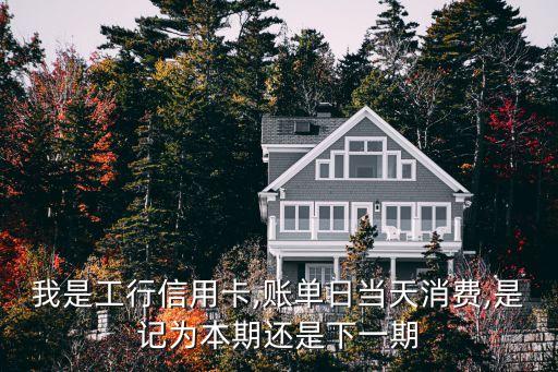 我是工行信用卡,賬單日當天消費,是記為本期還是下一期
