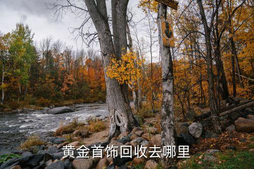 哪個(gè)銀行金條可回購(gòu),銀行金條購(gòu)買價(jià)格與回購(gòu)價(jià)格的差額