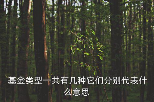基金有效規(guī)模,中國基金數(shù)量及規(guī)模