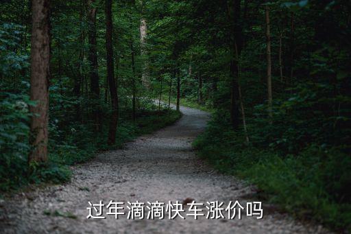 過(guò)年滴滴快車(chē)漲價(jià)嗎
