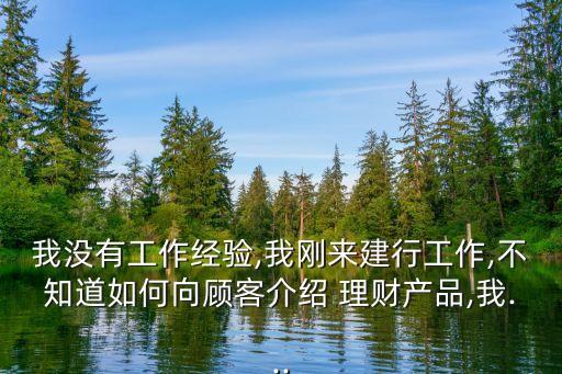 我沒有工作經驗,我剛來建行工作,不知道如何向顧客介紹 理財產品,我...