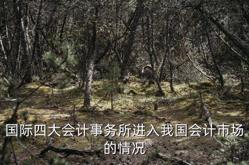 國際四大會計事務(wù)所進入我國會計市場的情況