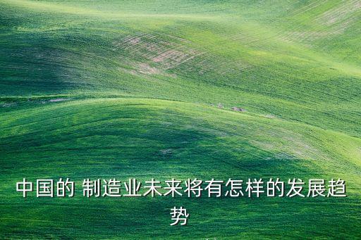 中國(guó)的 制造業(yè)未來(lái)將有怎樣的發(fā)展趨勢(shì)